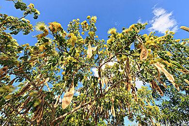 《SD高达激斗同盟》实机公布 8月25日正式发售